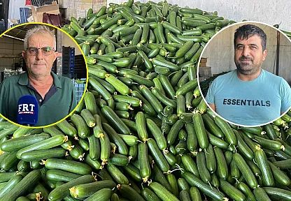 Fethiye Karaçulha Hali'nde salatalık sezonu zor başladı: Üretici de komisyoncu da kazanamıyor
