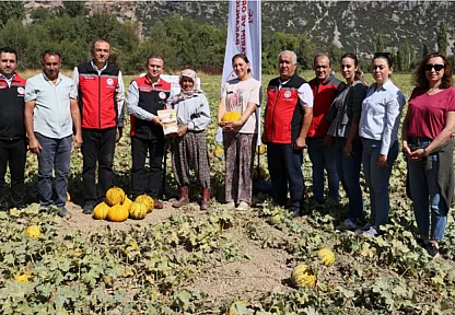 Menteşe Karabağlar yaylasında asırlık lezzetin hasat zamanı