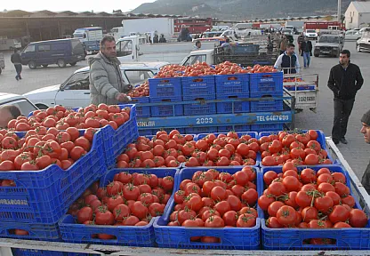Muğla'nın Haziran ayı ihracatı 125,9 milyon dolar