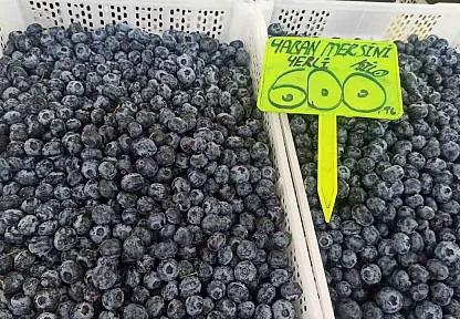 Yaban mersininde sezon sonu etkisi: Fethiye'de kilosu 600 TL