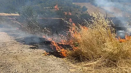 Anızı yakmak yerine sürerek toprağa karıştırma önerisi