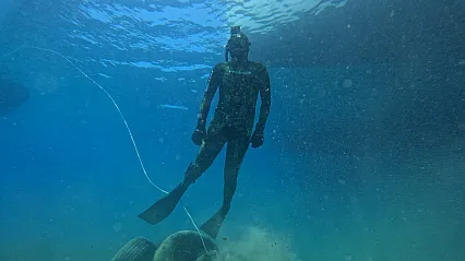 Bodrum açıklarında 40 metre derinliğe uzanan kesintisiz deniz çayırı kuşağı belirlendi