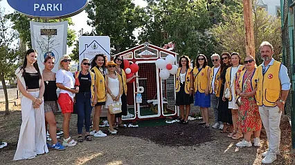 Bodrum'da görme engelli kediler için özel bakımevi açıldı