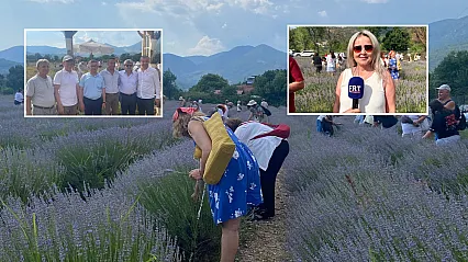 Fethiye'de lavantadan üretime, üretimden katma değere