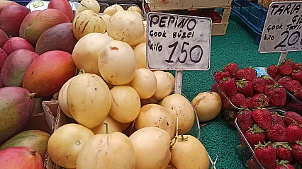 Fethiye'nin Yerli Pepinosu Yaz Sezonunun Gözdesi Oldu