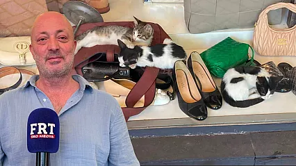 Fethiye Paspatur Esnafından Sokak Hayvanlarına Örnek Destek: 'Onlar da Bir Can'