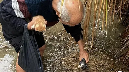 Günün kahramanı Mehmet dede: Su dolan bahçede mahsur kalan yavru kedileri kurtardı