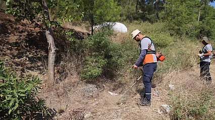 Marmaris'te yangın riskine karşı kapsamlı temizlik
