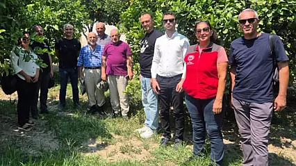Muğla'da turunçgil üretiminde biyolojik mücadele çalışmaları sürüyor