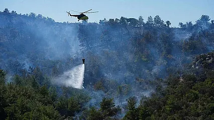 Orman yangınlarına yol açan fiillere ağır yaptırım