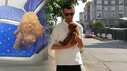 Otobüs şoförünü şaşkına çeviren sessiz yolcu: Oyuncak sandı canlı çıktı