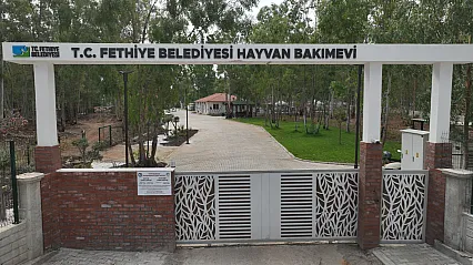 Yenilenen Fethiye Belediyesi Hayvan Bakımevi Açılıyor