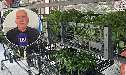 Fethiye'de üreticilere uyarı: Sıcaklıklar bitki hastalıklarını tetikliyor