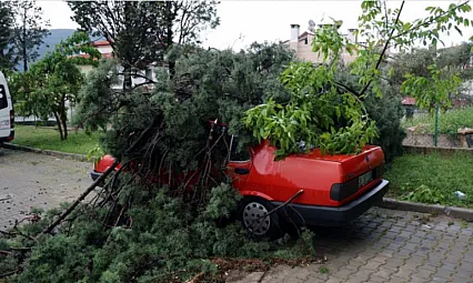 Muğla'da fırtınada devrilen ağaç, aracın üstüne düştü
