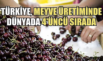 Türkiye, meyve üretiminde dünyada 4'üncü sırada