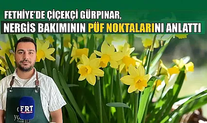 Fethiye'de Çiçekçi Gürpınar, nergis bakımının püf noktalarını anlattı