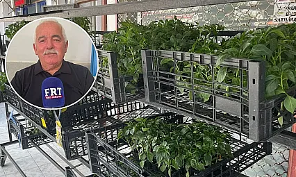 Fethiye'de üreticilere uyarı: Sıcaklıklar bitki hastalıklarını tetikliyor