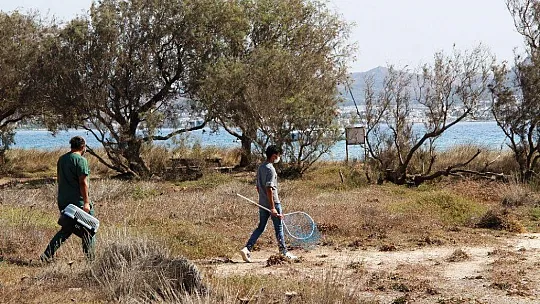 'Adada kedi var' ihbarı ekipleri seferber etti