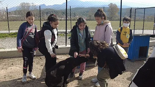 'El Ele Projesi' patili dostları sevindirdi