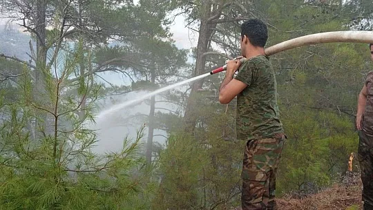 'Yeşil Vatan' için omuz omuza mücadele ediyorlar
