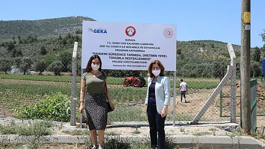 Toprakla Buluşan Ata Tohumları, Filizlenmeye Başladı
