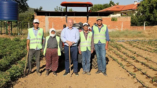 Toprakla Buluşan Ata Tohumları, Filizlenmeye Başladı