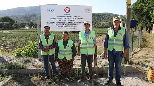 Toprakla Buluşan Ata Tohumları, Filizlenmeye Başladı