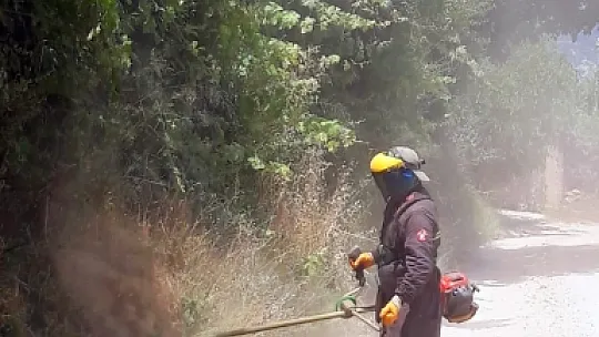 Karabağlar Zararlı Otlardan Temizleniyor