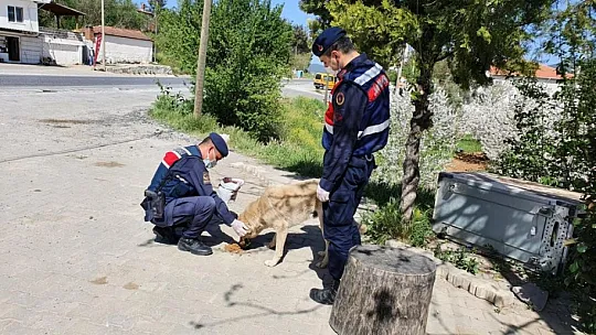 Vefa Sosyal Destek Grubu'nun çalışmaları aralıksız devam ediyor