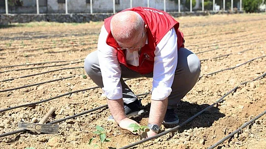 Menteşe Belediyesi 55 Bin ata tohumunu toprakla buluşturdu