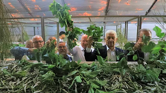 İpekböcekçiliği, Kadın Üreticilerin Ellerinde Yeniden Canlandı