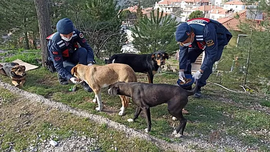 Vefa Sosyal Destek Grubu'nun çalışmaları aralıksız devam ediyor
