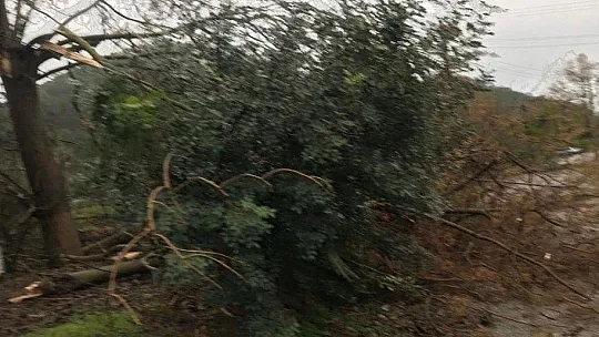 Hortum yıktı geçti