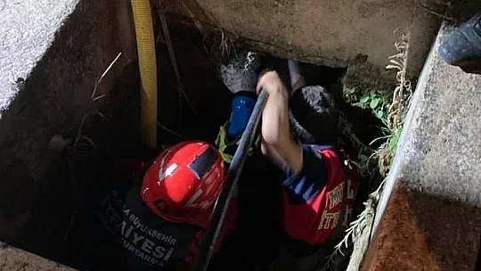 Sulama kanalına düşen yavru köpek kurtarıldı 