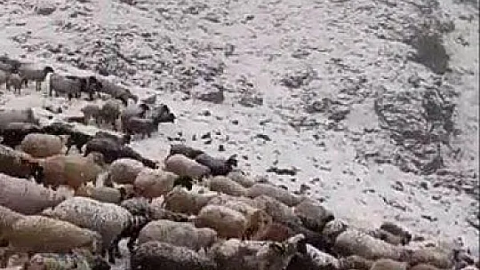 Yaylalar Haziran ayında beyaza büründü 