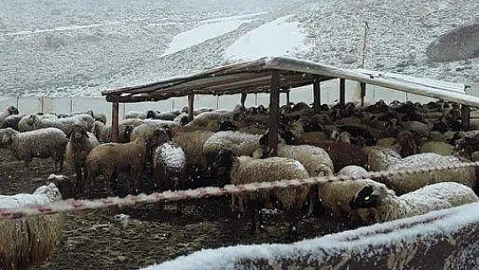 Yaylalar Haziran ayında beyaza büründü 