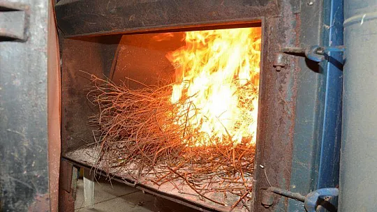 Defne Yaprağı Seydikemer'in Ekonomisini Canlandırıyor