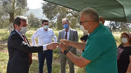 Vali Tavlı, Milas'ta tarım üreticilerini ziyaret etti