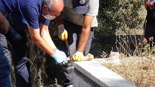 13 yıllık babalık davasında şok gerçek