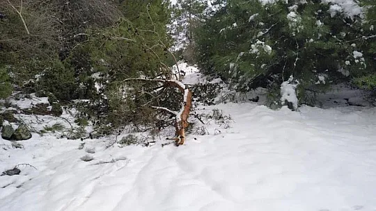 Milas Belediyesi hafta sonu kar mesaisindeydi