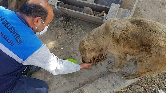 Milas Belediyesi tam kapanmada yoğun çalışıyor