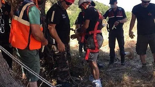 Yaban domuzlarının 2'si sağ 1'i ölü olarak kurtarıldı