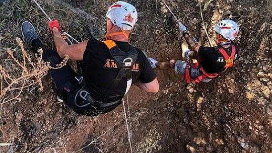 Yaban domuzlarının 2'si sağ 1'i ölü olarak kurtarıldı