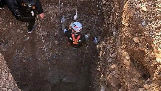 Yaban domuzlarının 2'si sağ 1'i ölü olarak kurtarıldı