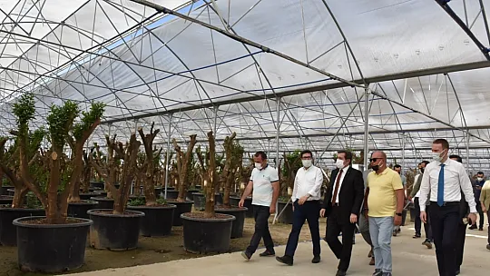Vali Tavlı, Milas'ta tarım üreticilerini ziyaret etti