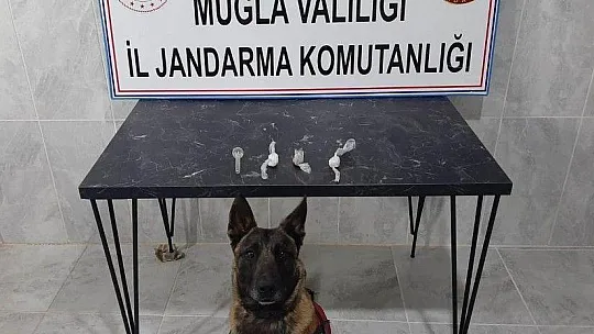 Jandarma'dan İki İlçede uyuşturucu operasyonu