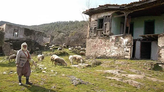 2 asırlık köy, koyunlara kaldı