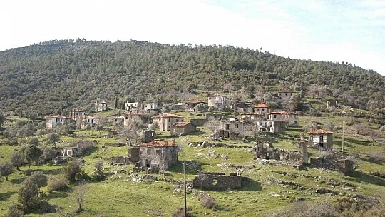 2 asırlık köy, koyunlara kaldı