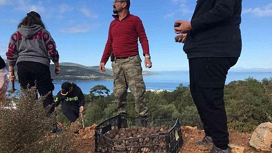 2 bin tohum topunu doğayla buluşturdular