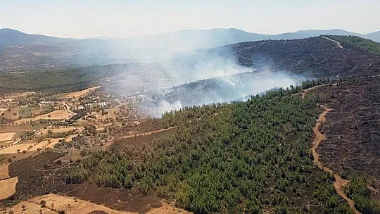 2 hektar alan kül oldu